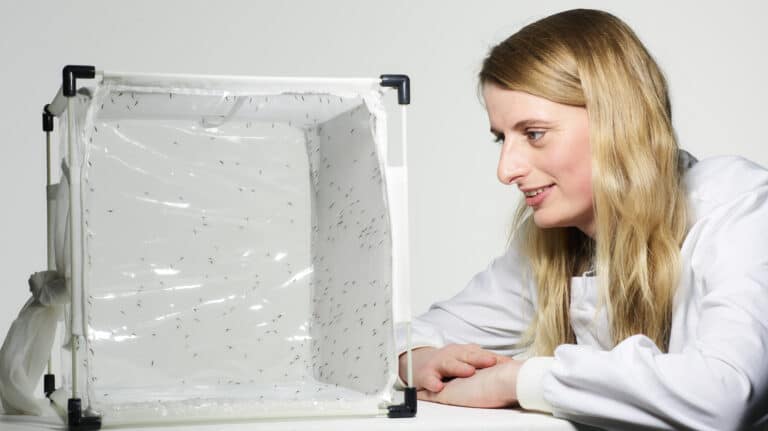 Rankin Shoot 28/03/23 For World Malaria Day. Rising Stars